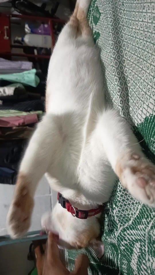 TikTok video thumbnail by rakeliitamartinez