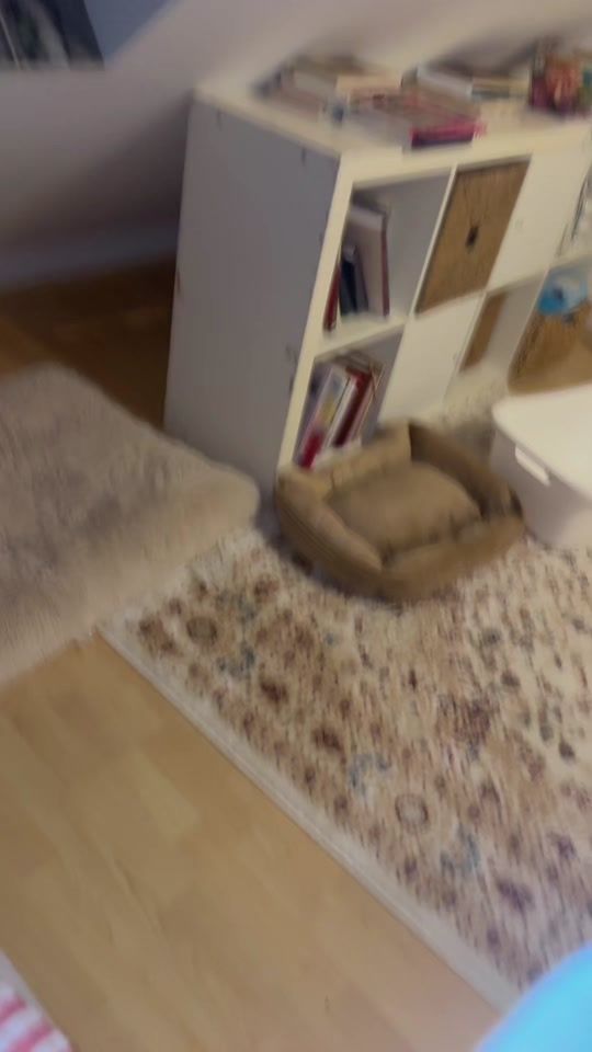 TikTok video thumbnail by dina.jami