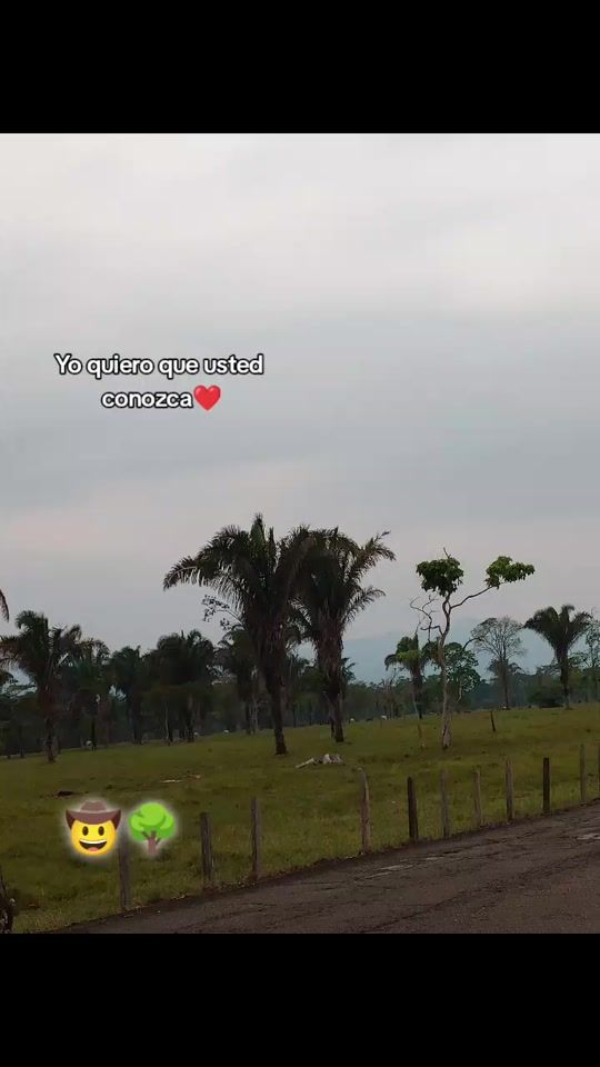TikTok video thumbnail by rc12907