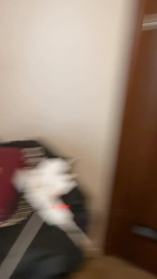 TikTok video thumbnail by meshi_241