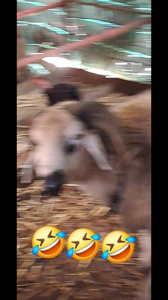 TikTok video thumbnail by j_mamine