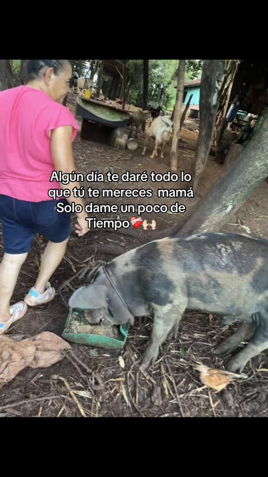 TikTok video thumbnail by cris_lgmt_py