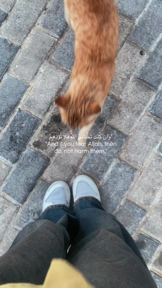 TikTok video thumbnail by its__fatima10