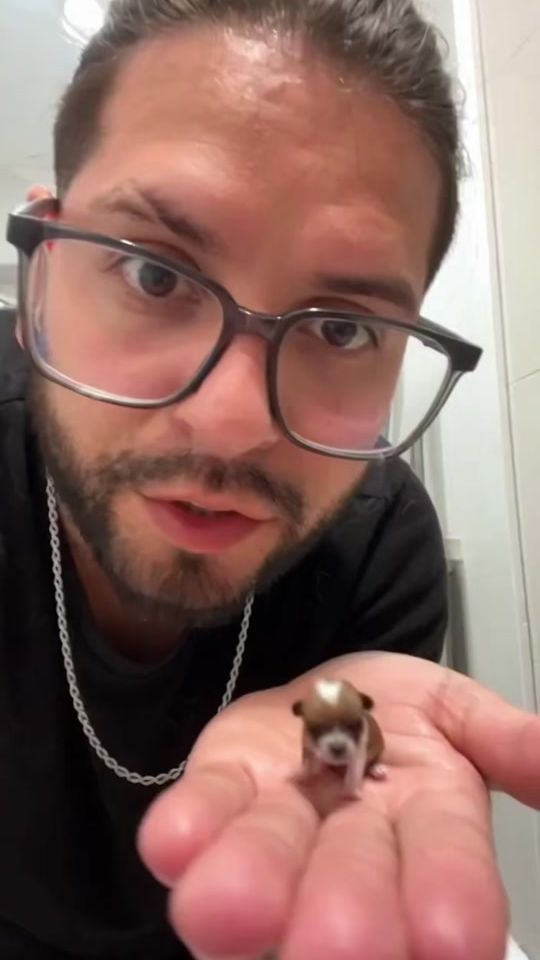 TikTok video thumbnail by benjasorich