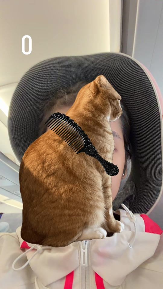 TikTok video thumbnail by aom._.rachida