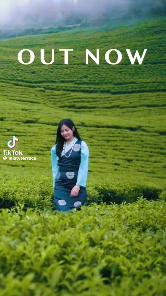 TikTok video thumbnail by lha_282