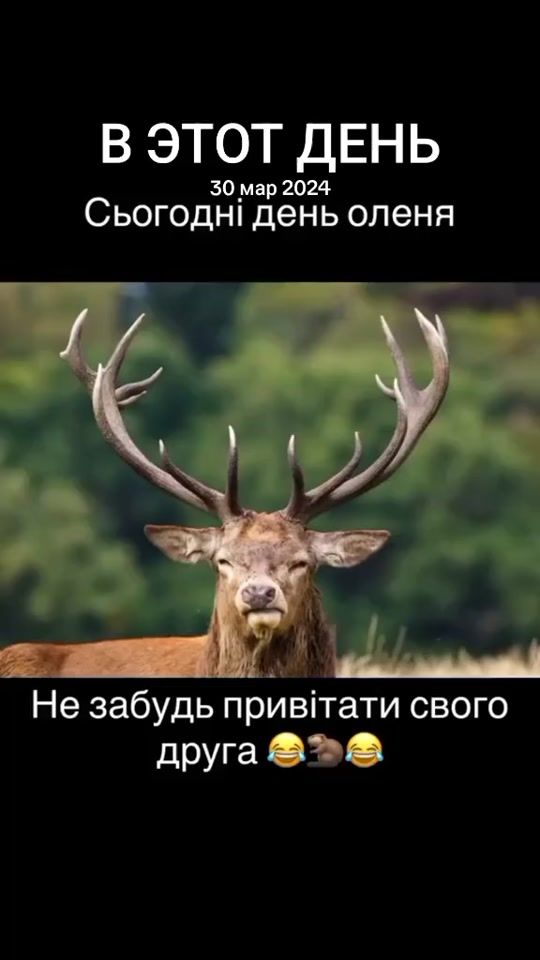 TikTok video thumbnail by fedir_1993_32