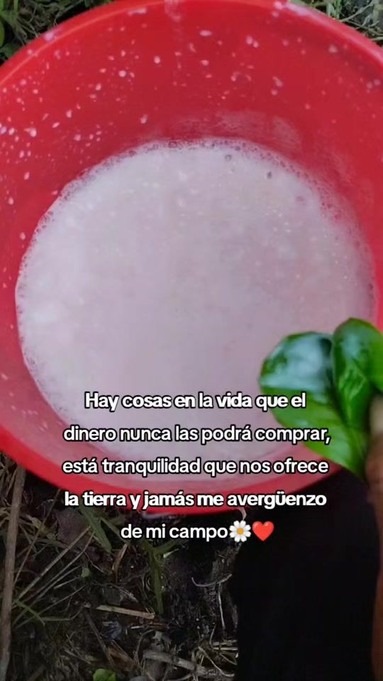 TikTok video thumbnail by aracely_cueva