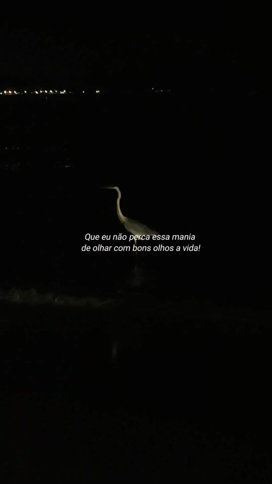 TikTok video thumbnail by pandoronworld