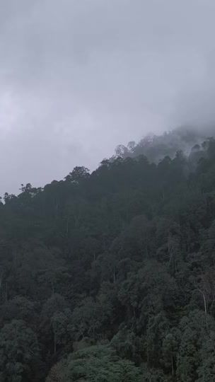 TikTok video thumbnail by phuoctinh255