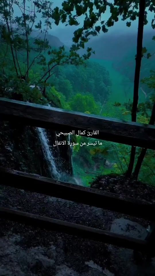TikTok video thumbnail by abarsbeel7