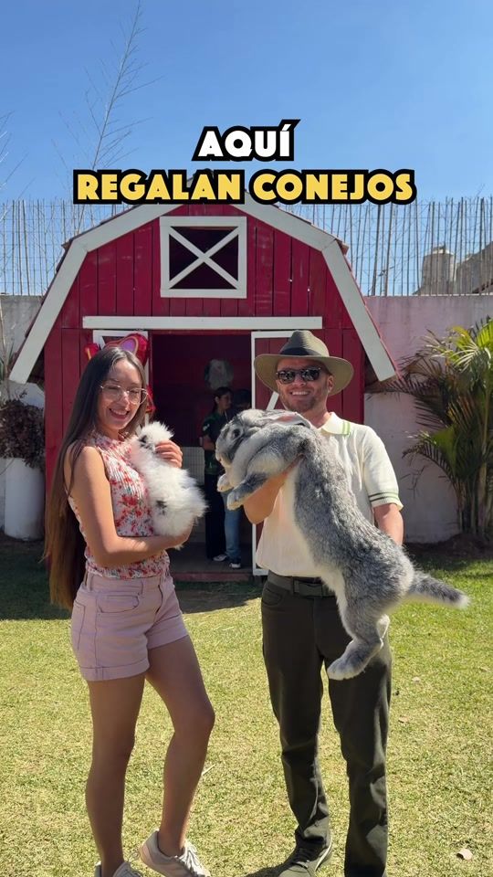TikTok video thumbnail by comozea