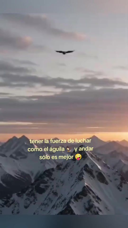 TikTok video thumbnail by el_enano_loco