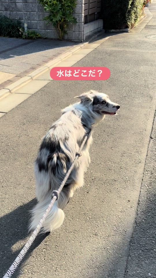 TikTok video thumbnail by luke_smbc