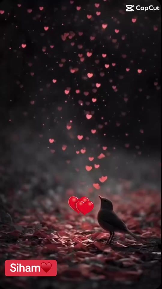 TikTok video thumbnail by sihamm14