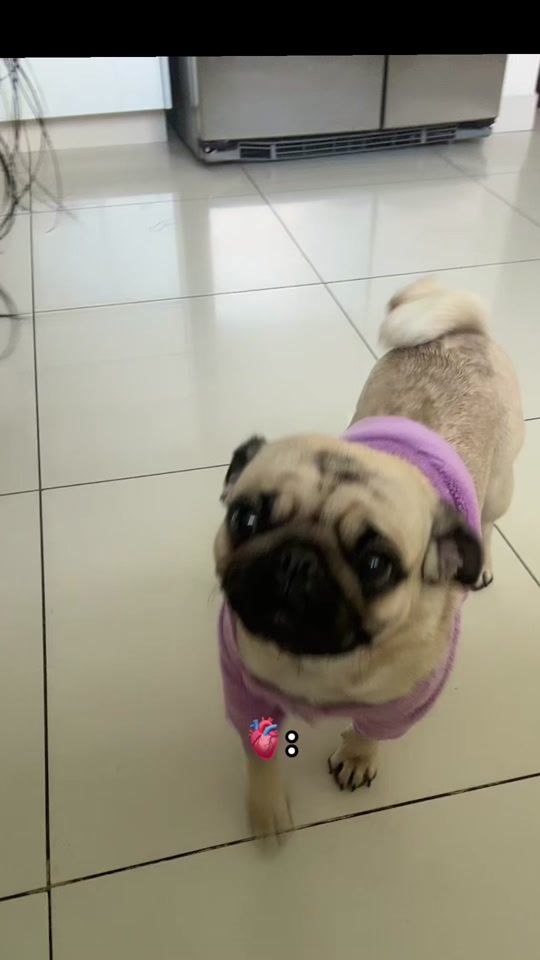 TikTok video thumbnail by genesis_hc17
