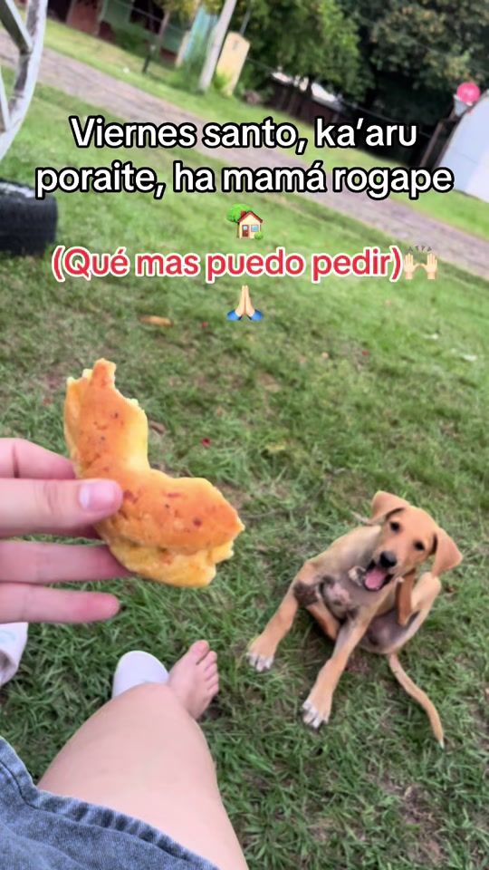 TikTok video thumbnail by lizchvez8