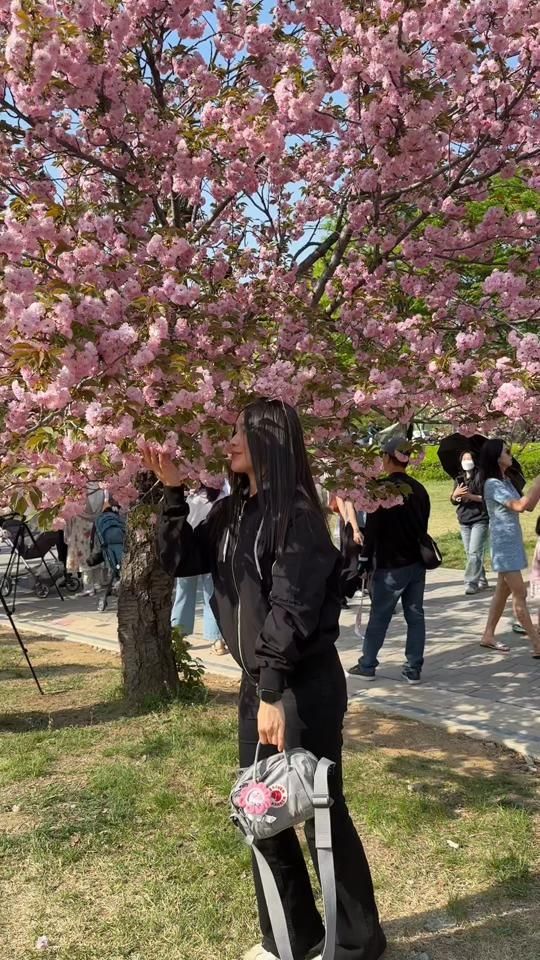 TikTok video thumbnail by panzing_
