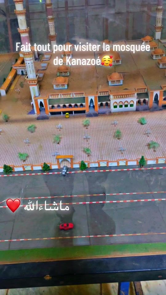 TikTok video thumbnail by justforquality.com