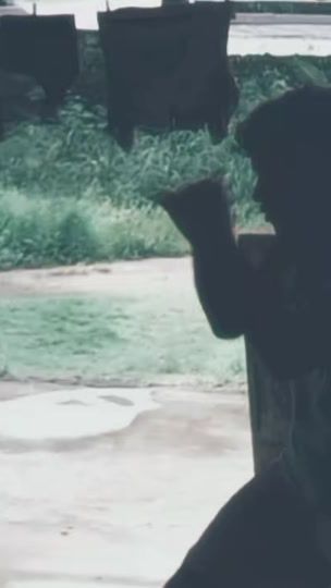 TikTok video thumbnail by nui_lmr