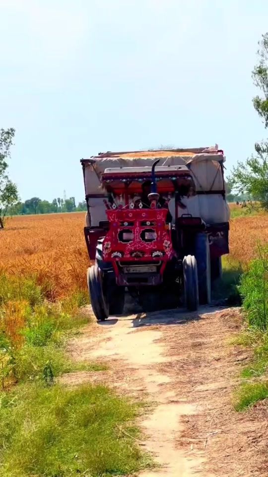 TikTok video thumbnail by pindmuradekalaan