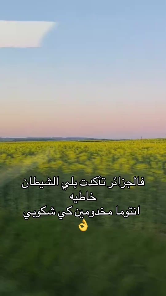 TikTok video thumbnail by 213.vip_