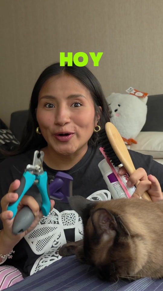 TikTok video thumbnail by lizeth.atoccsa