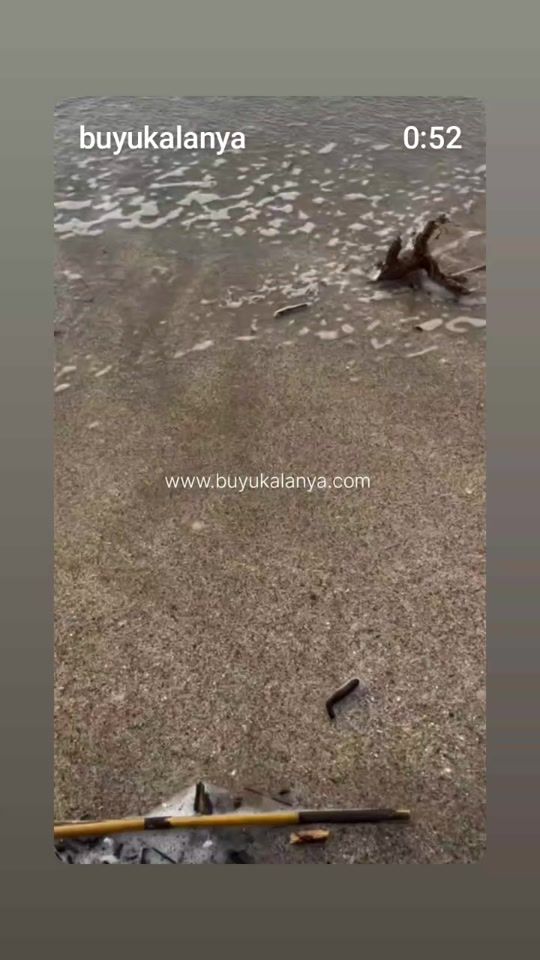 TikTok video thumbnail by esin_rapunzel_07