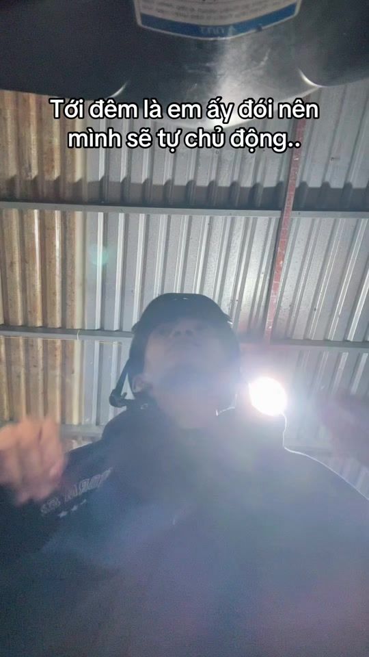 TikTok video thumbnail by ancam12072005