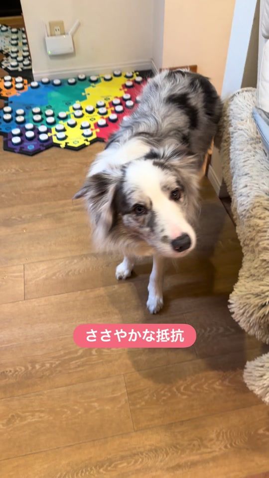 TikTok video thumbnail by luke_smbc