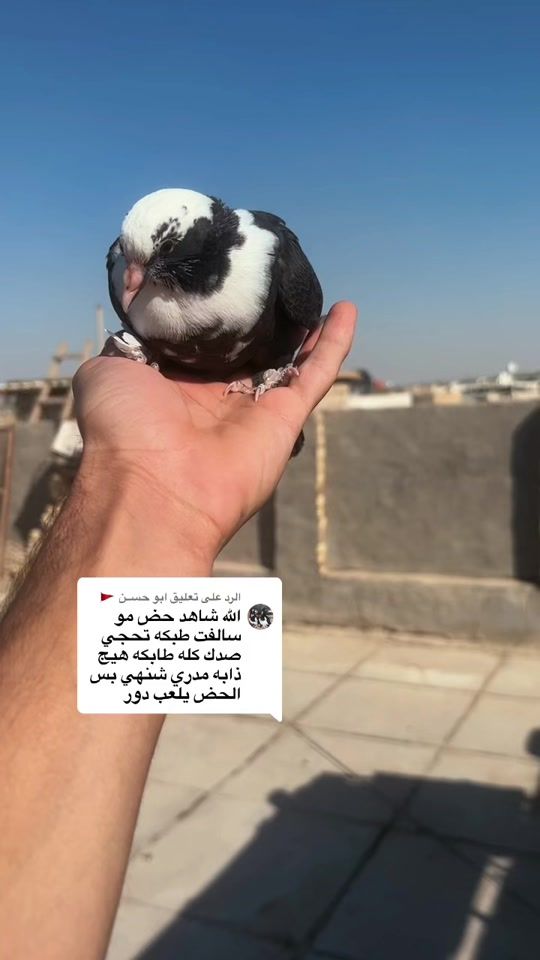 TikTok video thumbnail by mh_690