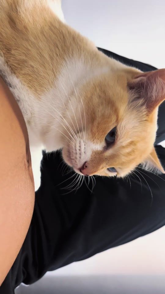 TikTok video thumbnail by andressa.ffonseca