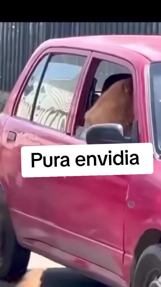 TikTok video thumbnail by memeando_derisa