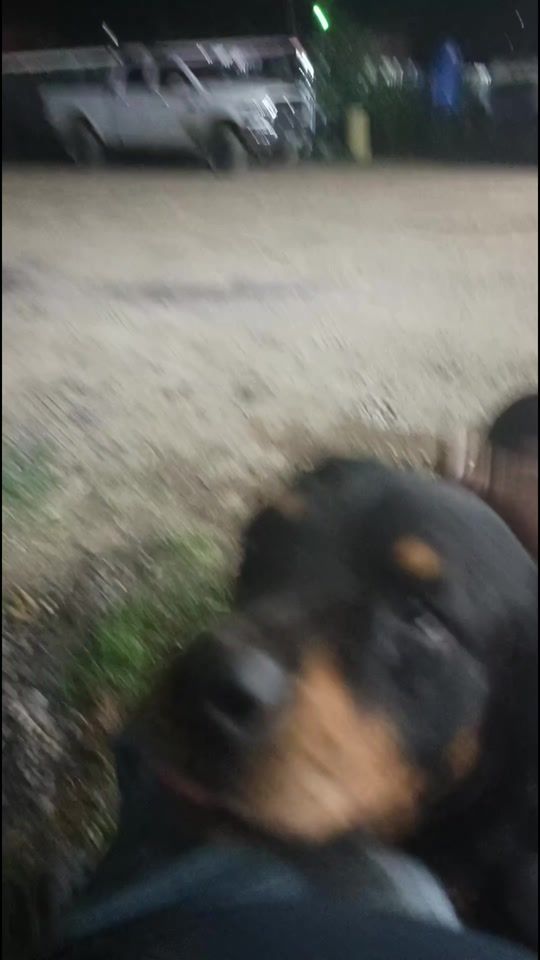 TikTok video thumbnail by lichejimenez4x4