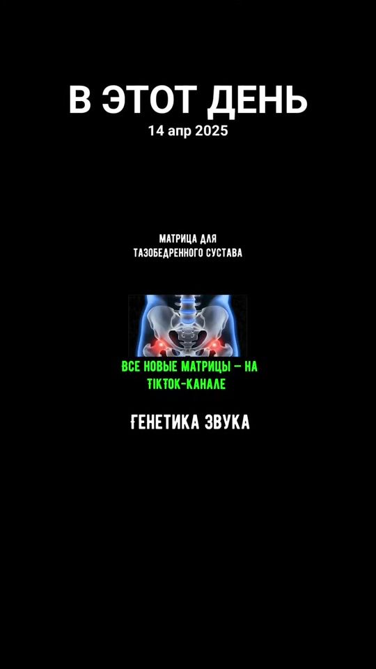 TikTok video thumbnail by echooftibet