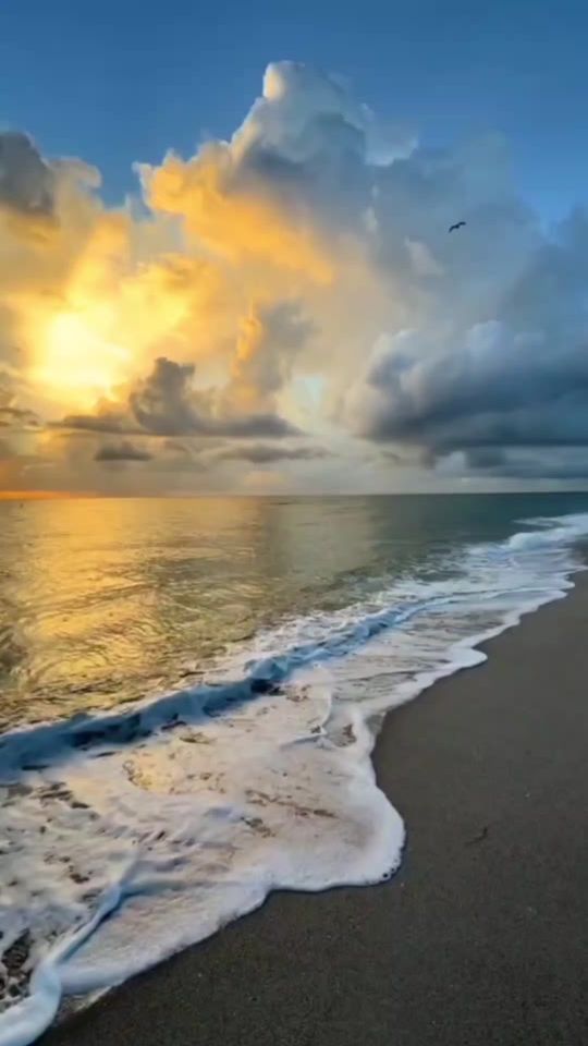 TikTok video thumbnail by lotfi.chikh1