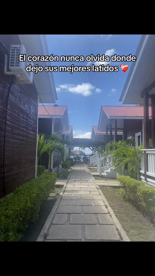 TikTok video thumbnail by achehn24