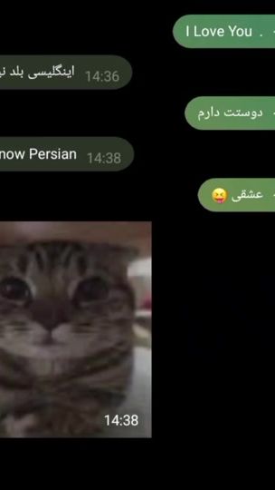 TikTok video thumbnail by radvin58