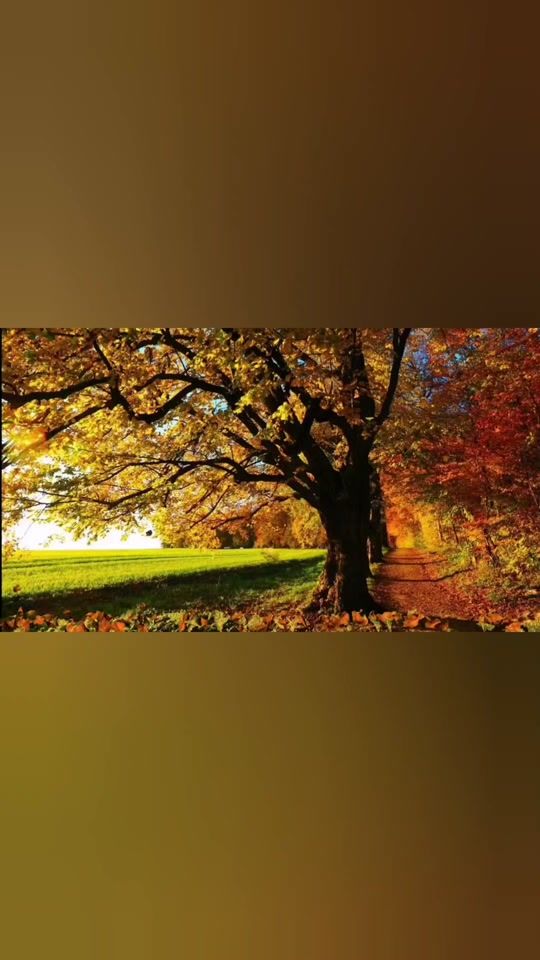 TikTok video thumbnail by ali_kazem7