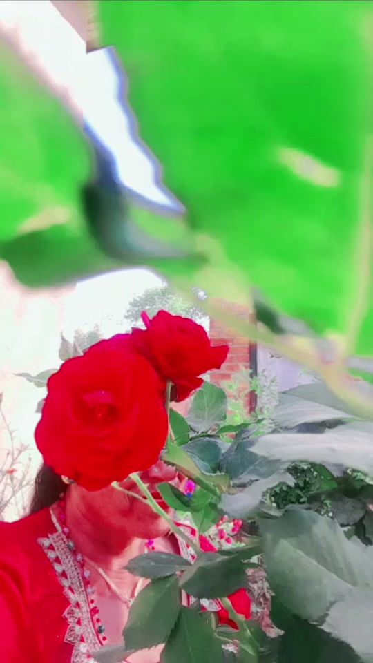 TikTok video thumbnail by gitashah96