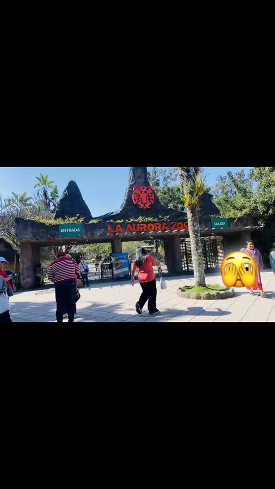 TikTok video thumbnail by martha5026