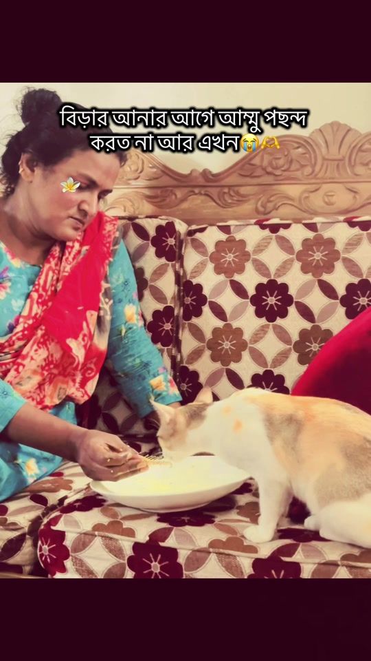 TikTok video thumbnail by mainul.kolpo