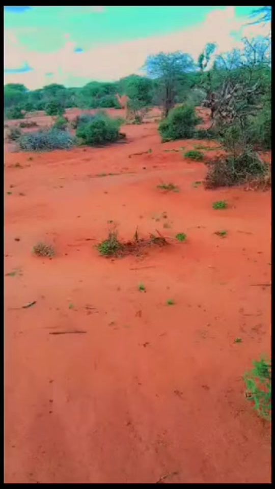 TikTok video thumbnail by muxsin72