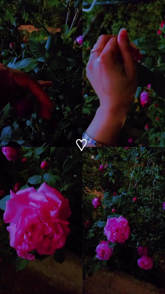 TikTok video thumbnail by parasiteasass