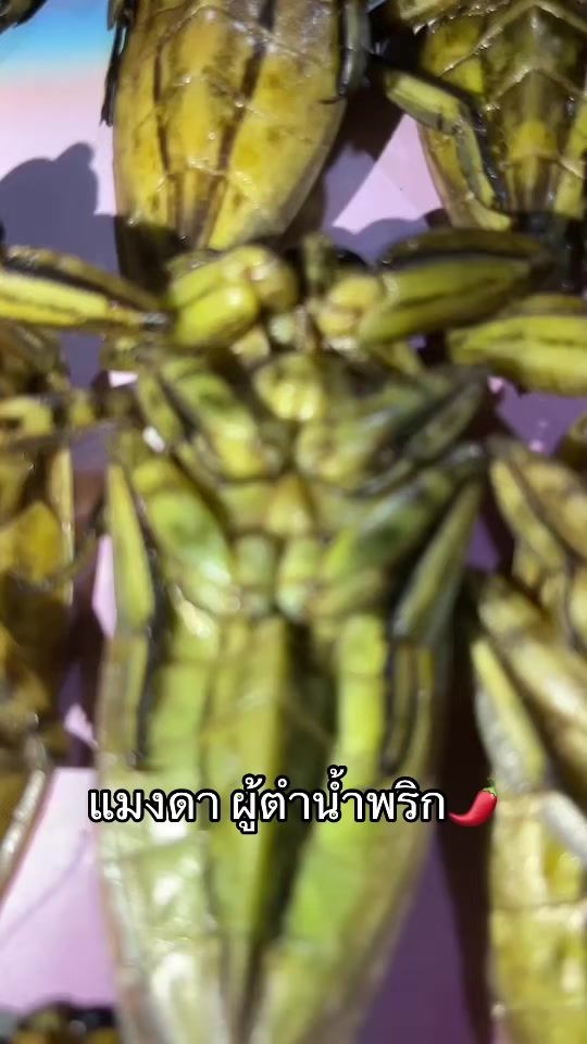 TikTok video thumbnail by aofnanthapong