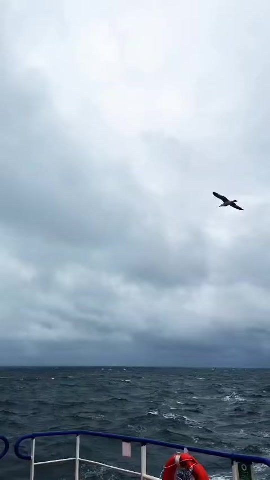 TikTok video thumbnail by gold_lacin