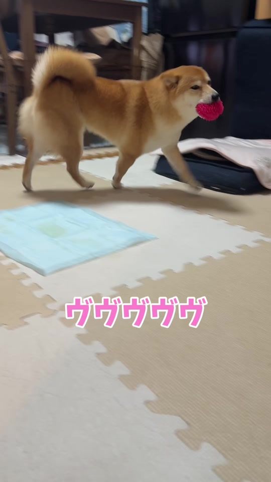 TikTok video thumbnail by hanachi610