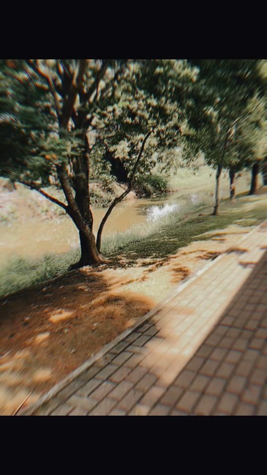 TikTok video thumbnail by yashzz06