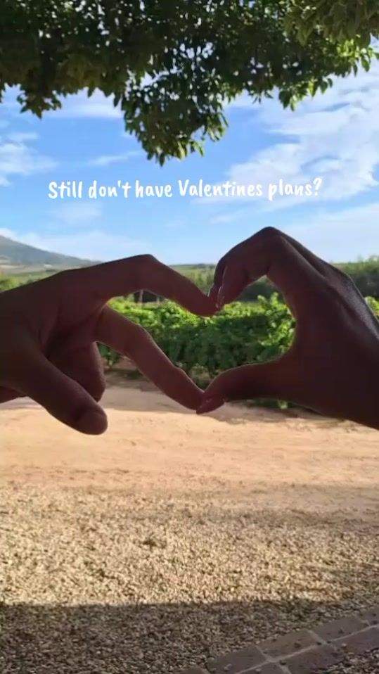 TikTok video thumbnail by audacia.wines