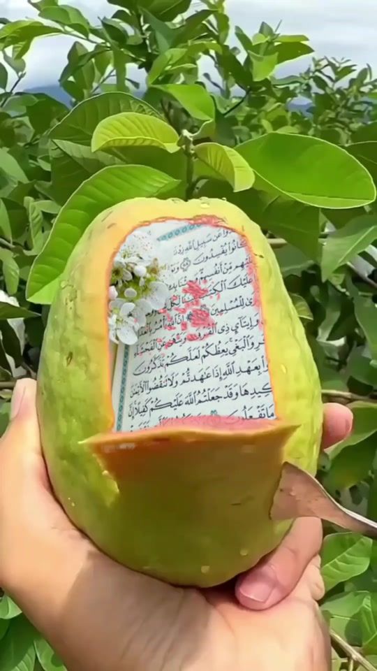 TikTok video thumbnail by alahamdulila122